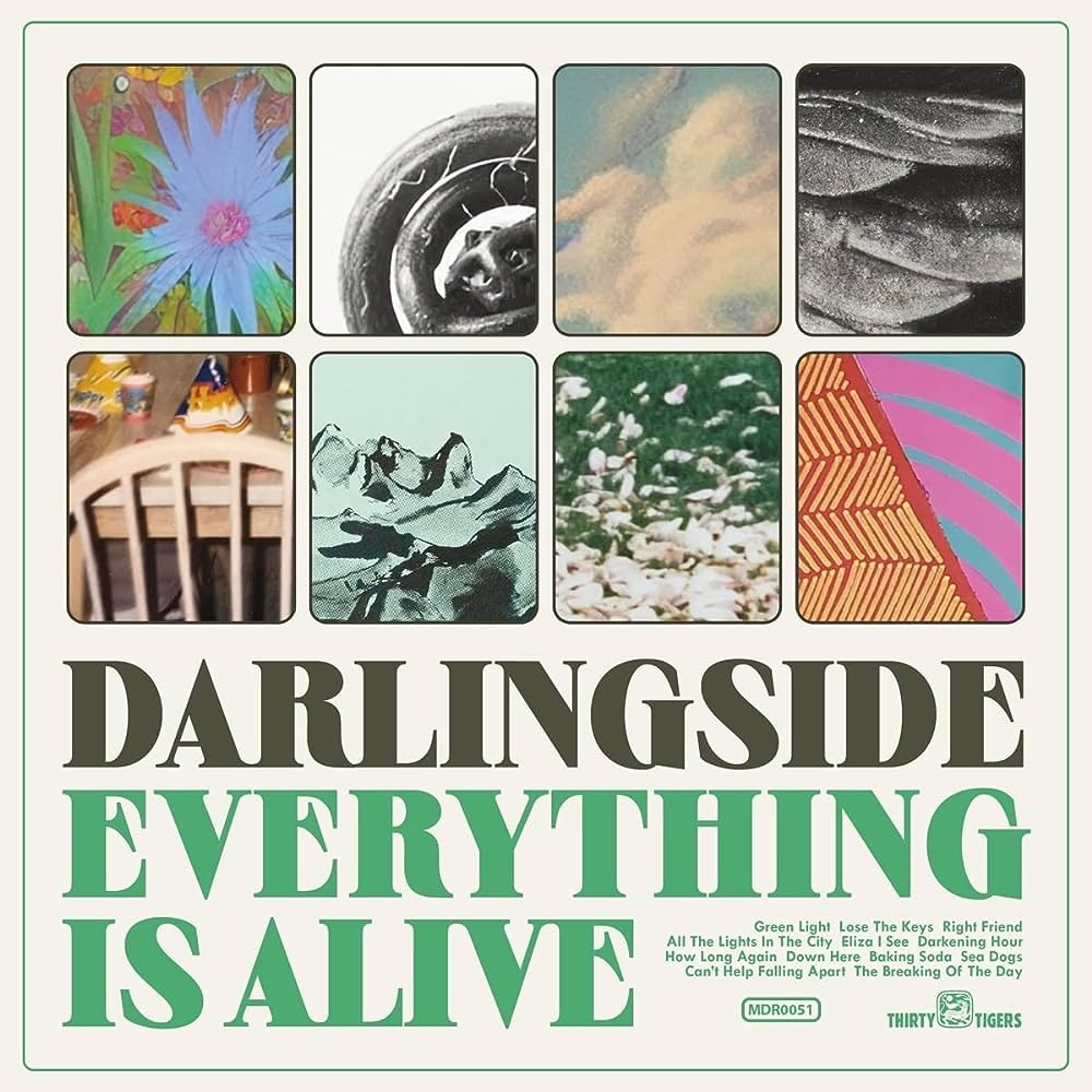 Darlingside - Everything Is Alive