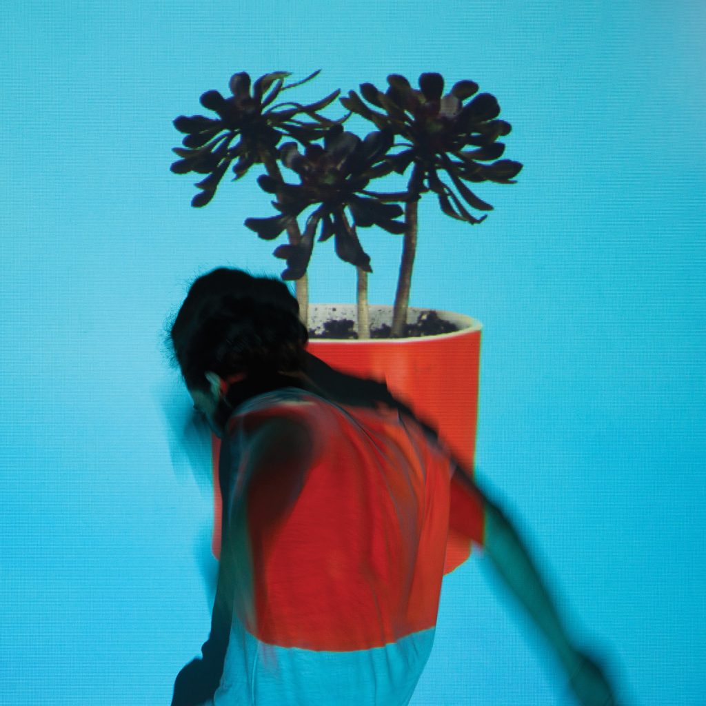 Local Natives - Sunit Youth